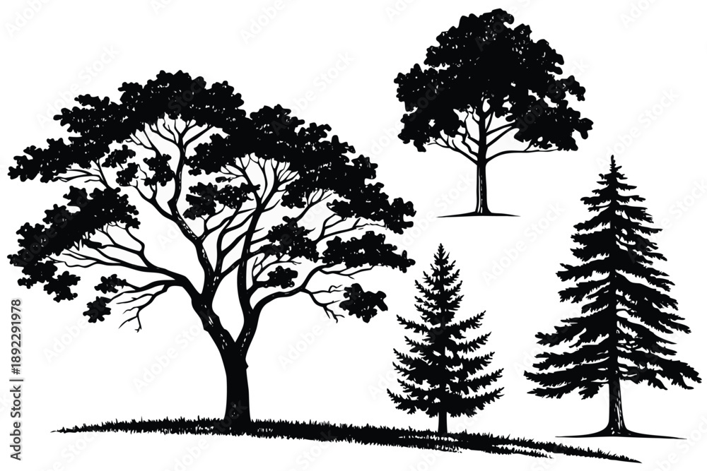 Obraz premium Tree and Pine Forest Silhouette Landscape on White Background
