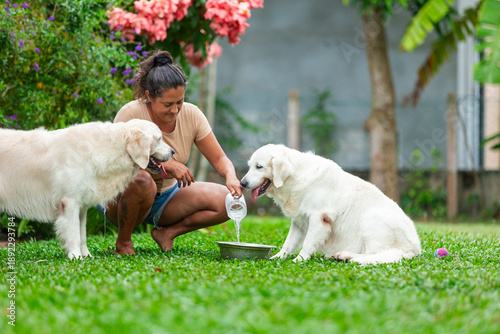 Photos Woman hydrating golden retrievers in garden, caring for pets