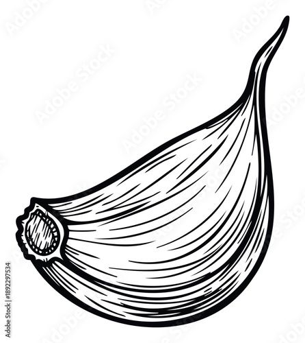 Hand drawn black and white garlic clove illustration, perfect for culinary blogs, recipe books, kitchen decor, or health food promotions requiring a classic ingredient depiction.
