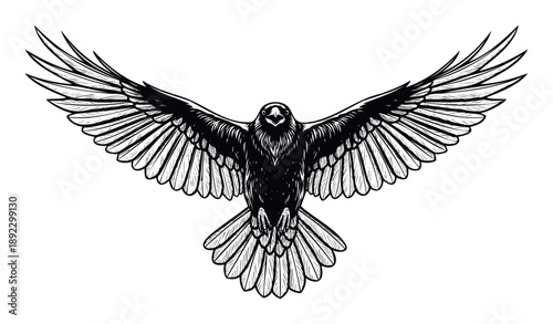 Majestic black crow or raven with powerful spread wings and open beak flying forward, suitable for a striking logo emblem or tattoo graphic print
