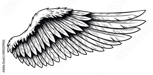 Stylized single bird wing graphic with detailed feathers rendered in black and white perfect for various creative projects and apparel printing