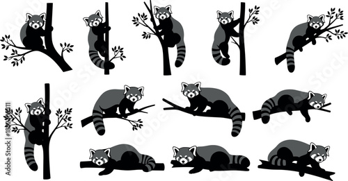 Cute red panda illustrations collection showing playful and sleeping poses on tree branches, wildlife animal cartoon icons set isolated on white background