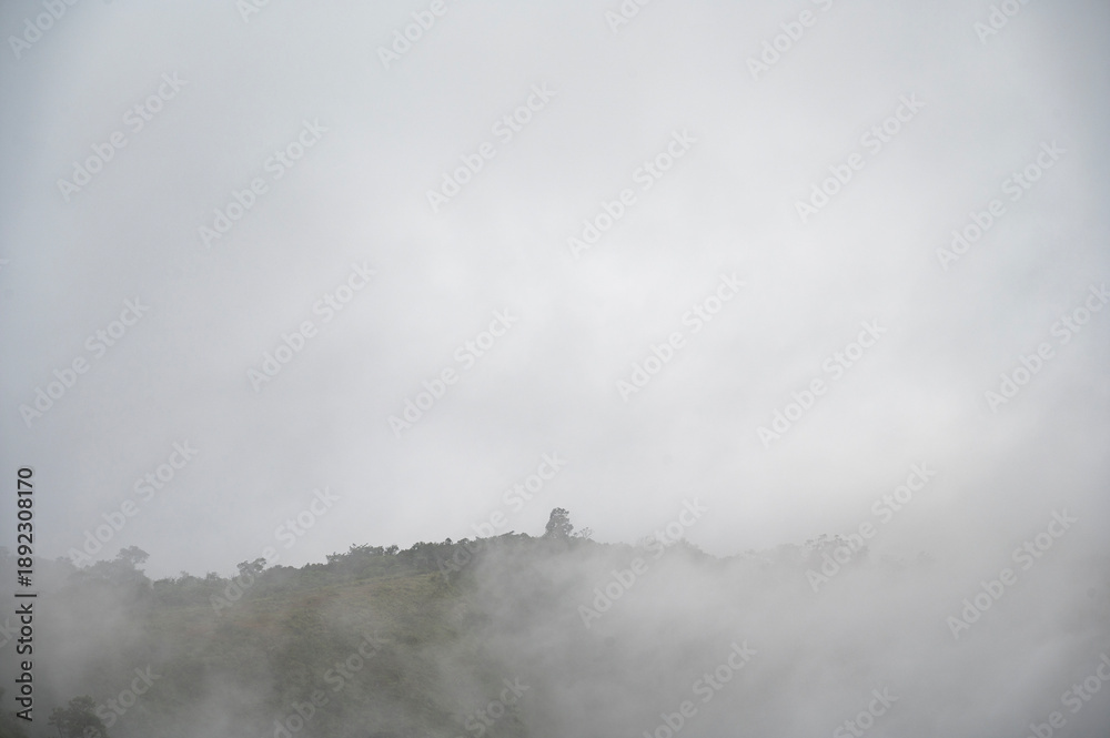 Obraz premium Moody close-up of a cloud-covered mountain at Chathurangapara, Idukki, Kerala, where dense monsoon fog obscures the hills, revealing faint greenery and trees in the Western Ghats.