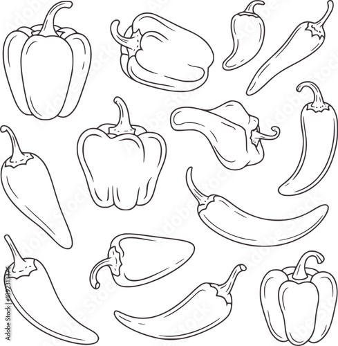 Hand drawn of assorted bell and chili peppers food vegetable