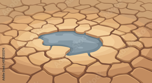 Dry cracked earth with small water puddle