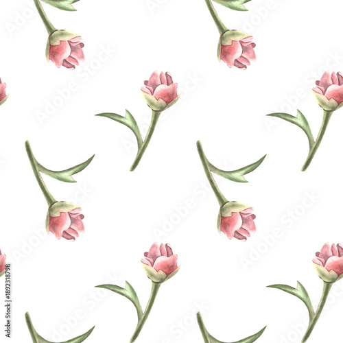 Wallpaper Mural Seamless simple pattern peony buds and leaves. Hand-painted watercolor botanical illustration isolated on white for textile, packaging, stationery, wallpaper, branding, wedding design, romantic decor Torontodigital.ca
