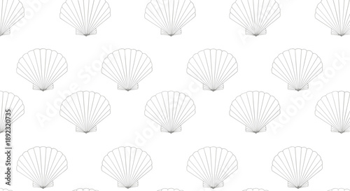 Minimalist seamless pattern featuring light grey line art of open seashells arranged neatly on a white background.