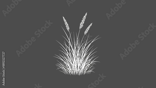 meadow grass tuft with artistic simplicity, white
