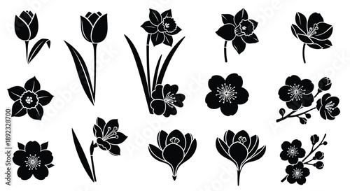 Beautiful black flower silhouettes on white background