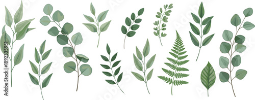 Elegant Botanical Leaf Vector Collection Featuring Eucalyptus Fern and Green Foliage Sprays for Wedding Invitations Floral Patterns and Natural Environment Design Projects