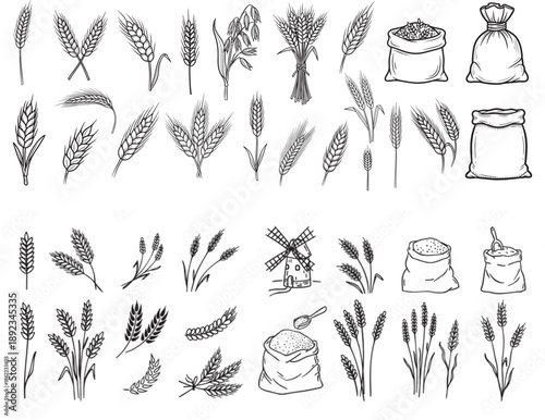 wheat and cereal plants, rye barley and ears of wheat in bag doodle hand drawn icon set. Outline drawing ears of wheat line clipart symbol collection
