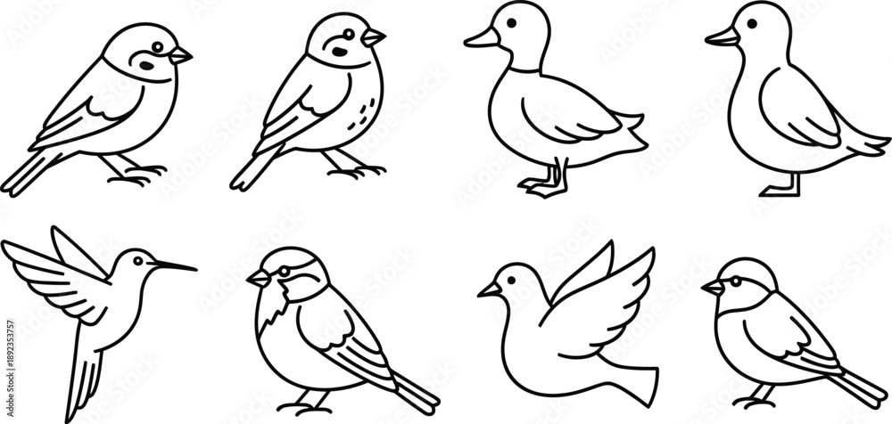 Fototapeta premium Collection of eight simple line drawings of various bird species