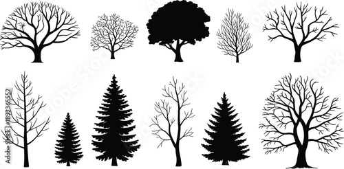 Black, tree, silhouette, collection, including, pine, oak, and, bare, winter, branches, isolated, on, white, background, for, nature, forest, landscape, design.
