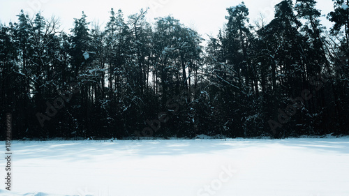 Trees have fallen in the forest due to snow, trees are lying on the roads, roads are closed, snow chaos in Germany, shoveling snow, snow in the forest, snow on the cars, snow in the village