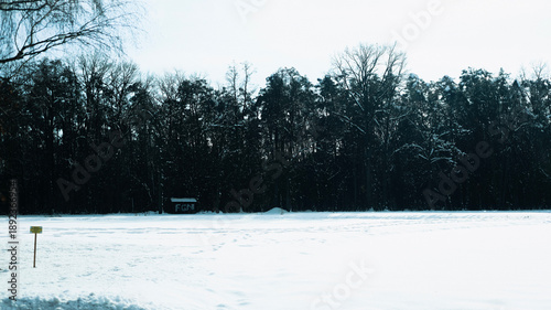 Trees have fallen in the forest due to snow, trees are lying on the roads, roads are closed, snow chaos in Germany, shoveling snow, snow in the forest, snow on the cars, snow in the village