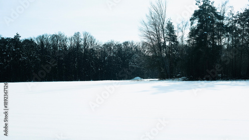 Trees have fallen in the forest due to snow, trees are lying on the roads, roads are closed, snow chaos in Germany, shoveling snow, snow in the forest, snow on the cars, snow in the village