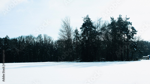 Trees have fallen in the forest due to snow, trees are lying on the roads, roads are closed, snow chaos in Germany, shoveling snow, snow in the forest, snow on the cars, snow in the village