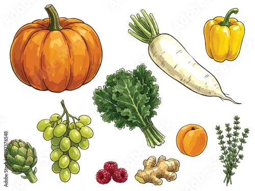 Watercolor Fruit and Vegetable Vector Set. Hand Drawn Fresh Produce Collection Isolated on White Background
