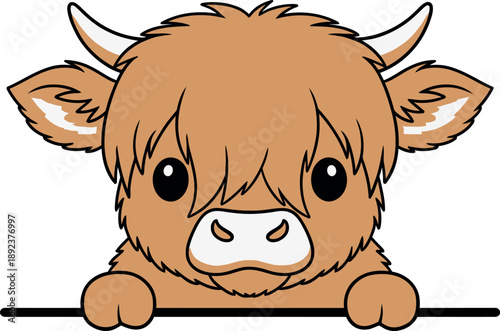 Cute Highland cow face, peeking over a fence