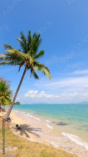 Beautiful Tropical beach with Palm tree and clear sea with clouds in background