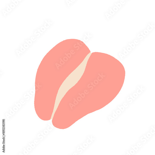 Cartoon meat. Fresh meat products. Culinary, grocery raw pork, beef steaks, chicken, turkey, sausage, bacon, pork belly, ham, poultry, ribs. Meat market vector set