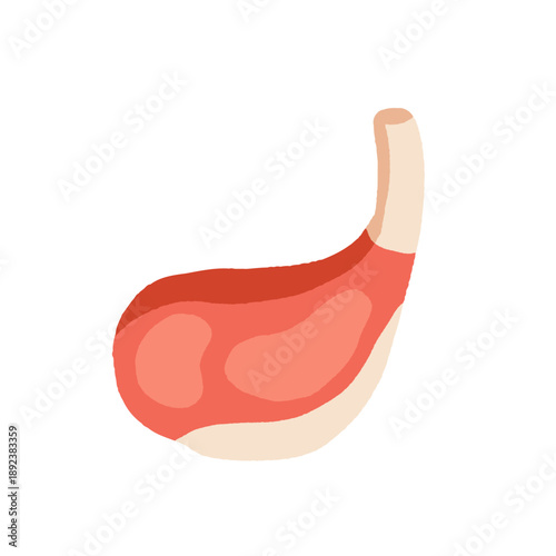 Cartoon meat. Fresh meat products. Culinary, grocery raw pork, beef steaks, chicken, turkey, sausage, bacon, pork belly, ham, poultry, ribs. Meat market vector set