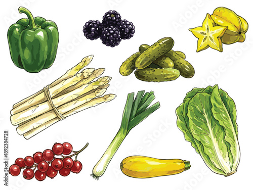 Watercolor Fruit and Vegetable Vector Set. Hand Drawn Fresh Produce Collection Isolated on White Background
