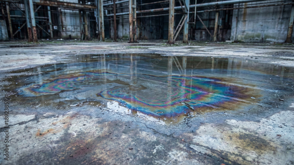 Fototapeta premium Rainbow colors on oil film floating on water surface