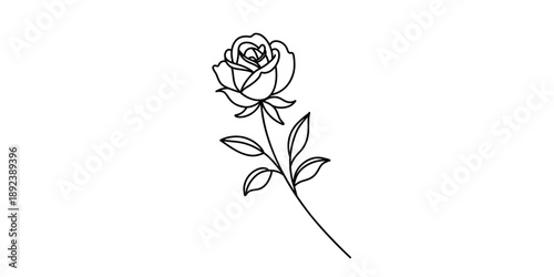 Elegant rose illustration with delicate petals and leaves