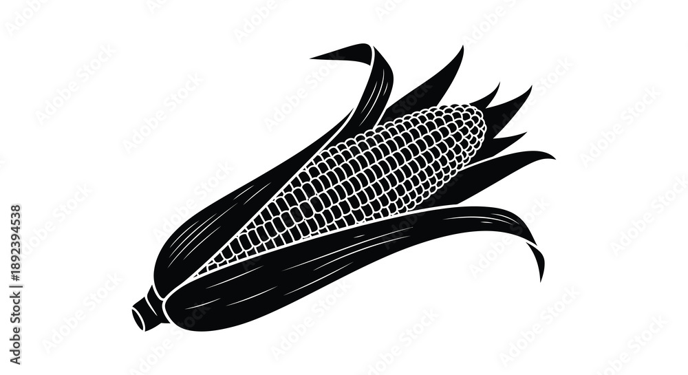 Fototapeta premium A detailed black and white illustration depicts a single ear of corn with husk leaves creating a striking silhouette