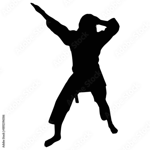 Silhouette of a Karateka Practicing Karate