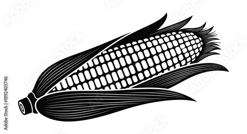 A detailed black and white illustration depicts a partially husked ear of corn showcasing its textured kernels as a silhouette high quality