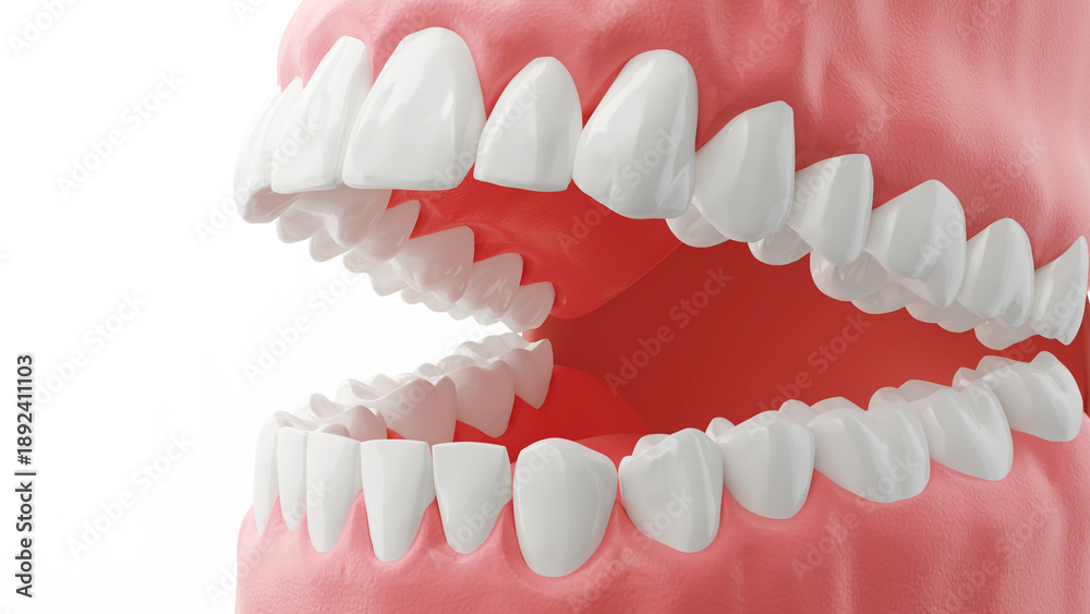 Obraz premium Healthy human teeth 3D illustration.