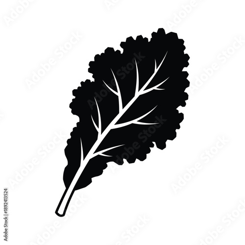Black silhouette of a single kale leaf with prominent veins isolated on  white Background