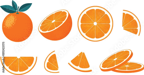Vibrant orange slices and whole fruit vector set