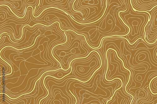 Abstract topographic map background with contour lines vector geographic terrain relief.