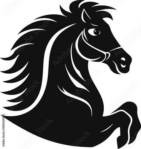 Abstract curved shape in black and white with a transparent background silhouette