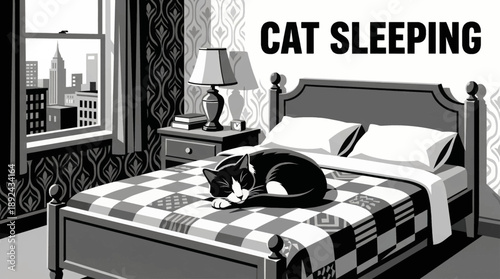 cat sleeping in a bedroom setting, black and white illustrated in soft vector style ideal for bedtime stories and calm kids visuals