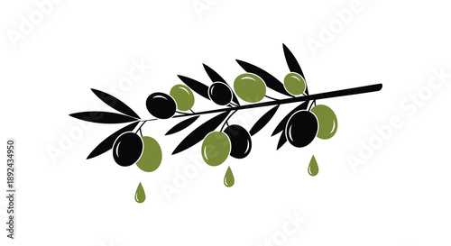 A detailed illustration of an olive branch with ripe olives and dripping oil presented as a silhouette
