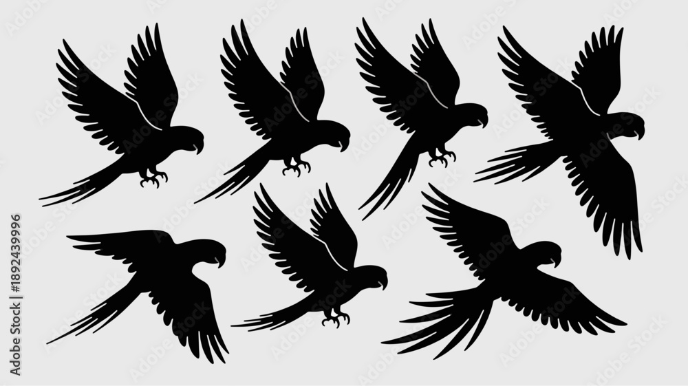 Obraz premium Macaw Silhouette's Flight: An artistic display showcases a flock of elegant macaw silhouettes in mid-flight, capturing the bird's graceful form and the essence of avian freedom.