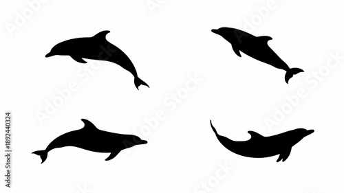 Dolphin Silhouettes: Playful silhouettes of dolphins frolic, capturing their dynamic movements and the essence of marine life.