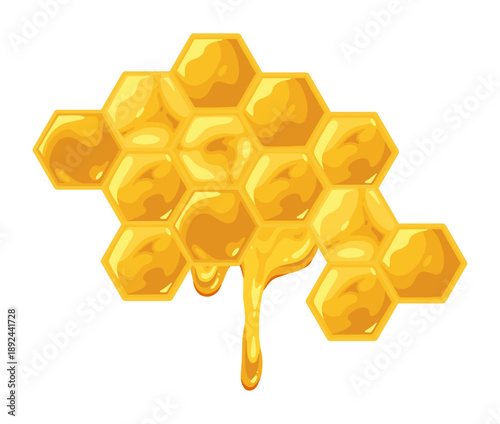 Honey in hexagon shape design