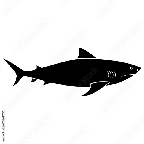 Shark vector icon. Fish Illustration sign. Ocean life symbol or logo.