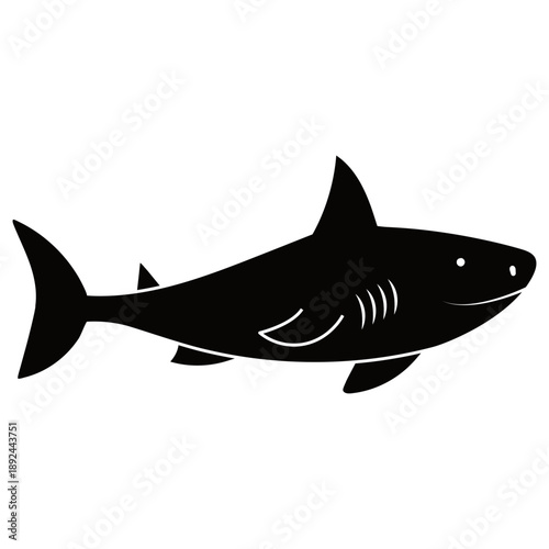 Shark vector icon. Fish Illustration sign. Ocean life symbol or logo.