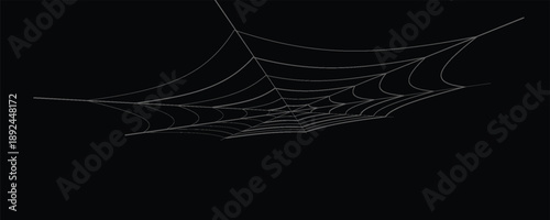 Vector Set of spider web and halloween cobweb decoration