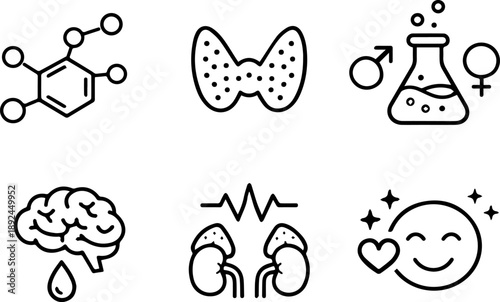 Hormones and Human Body Functions Icons