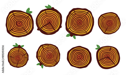cut tree trunk stump cross section concentric circular