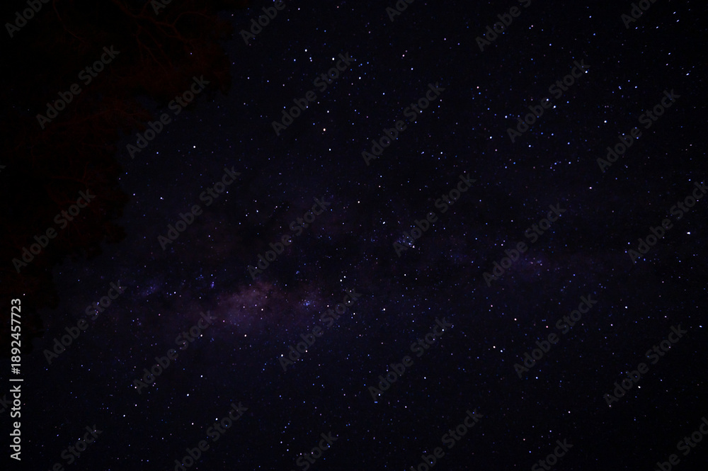 Fototapeta premium Milky Way during a starry night