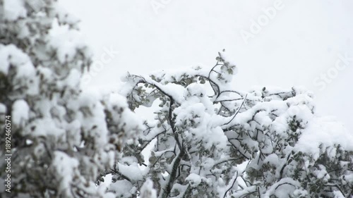 A dense snowfall blankets the woodland, with branches bending under the weight of fresh snow.
