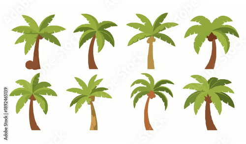 Cartoon Palm Tree Vector Set with Tropical Coconut and Banana Plants Isolated on White